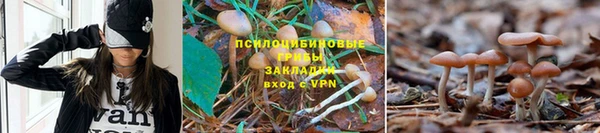 бутират Майский