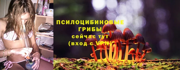 mdpv Магадан